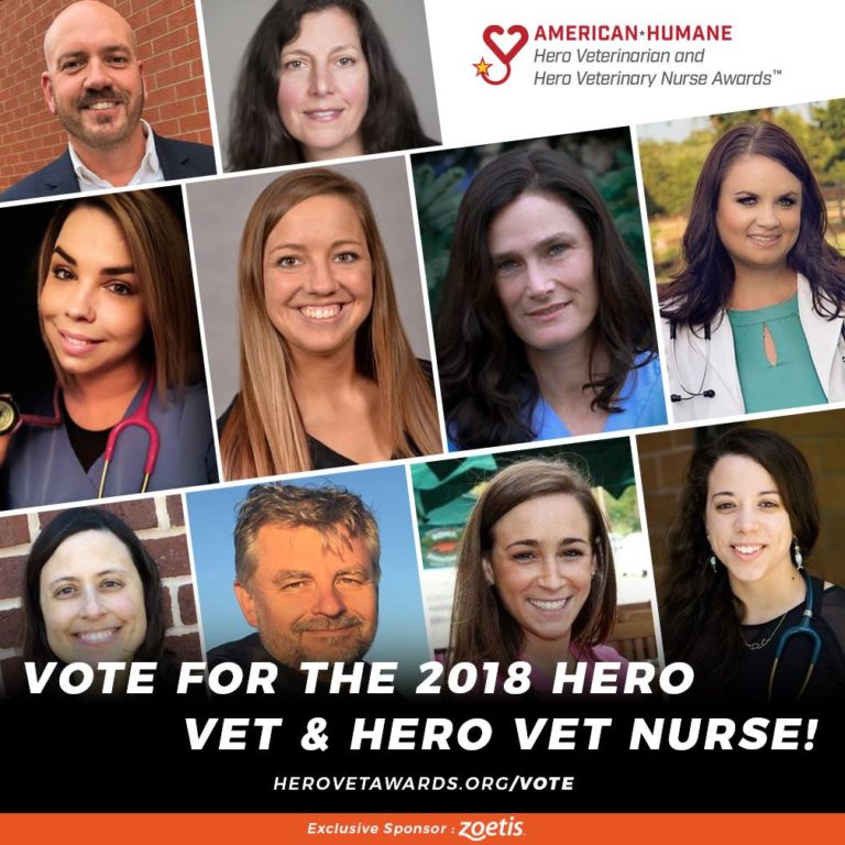 Nominees Announced for the 2018 American Humane Hero Veterinary Nurse Awards