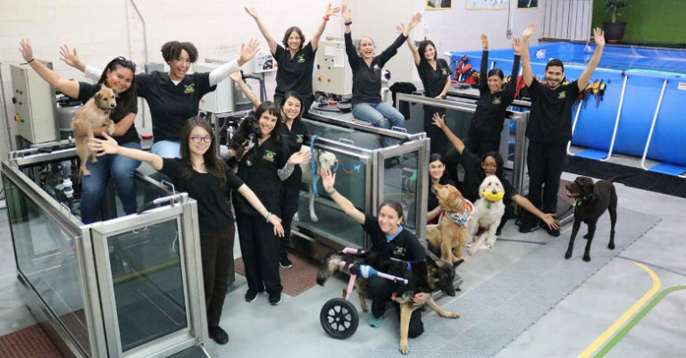 Pet Rehabilitation Center Expands Hydrotherapy Program