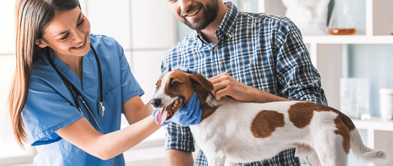 Poll: Do You Support the Veterinary Nurse Initiative?