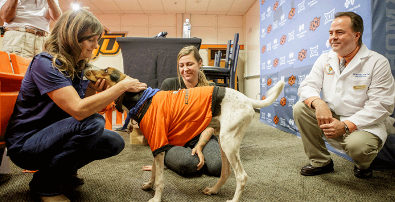 Milo, Puppy Born with Upside Down Paws, Celebrates 6 Months Post-Surgery