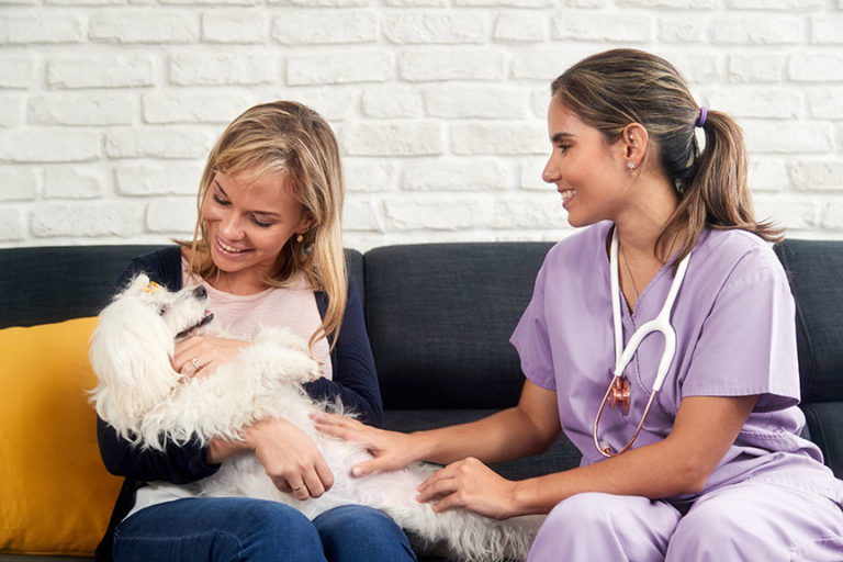 Banfield Clients Can Make Vet Tech Appointments