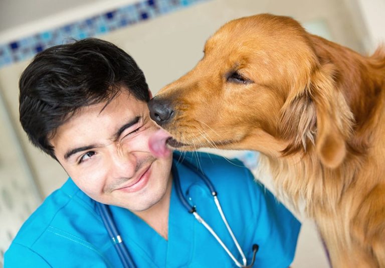 It’s Time to Celebrate Veterinary Technician Week!
