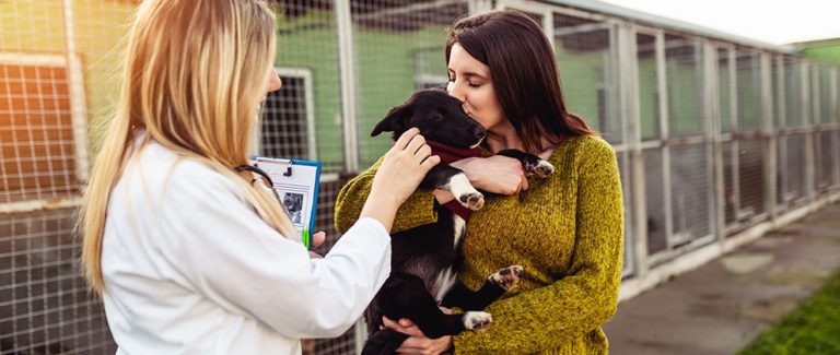Poll: Do You Participate in Veterinary Volunteer Work?