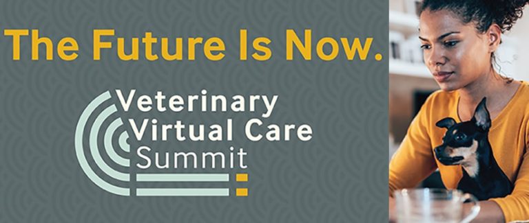 Free Digital Event Offers Telemedicine Tools for Veterinary Nurses
