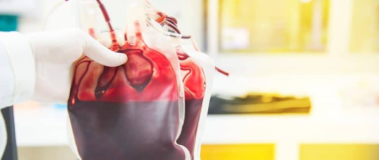 Blood Transfusions in Anemic Dogs and Cats
