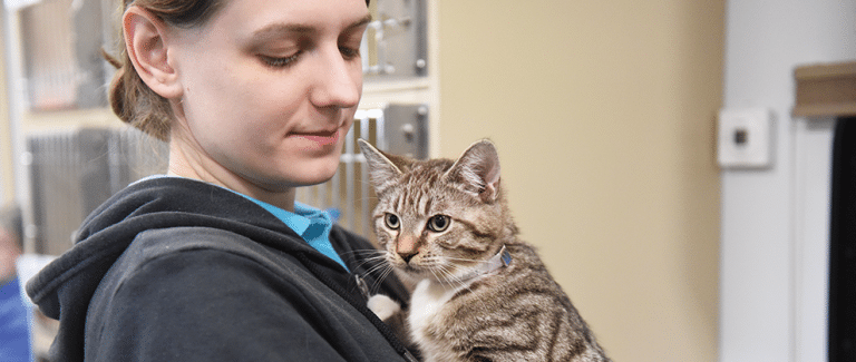 One Welfare Approach: Wellbeing in Shelters