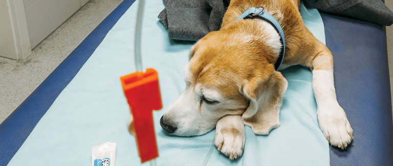 Diabetic Ketoacidosis: Causes, Recognition, and Treatment