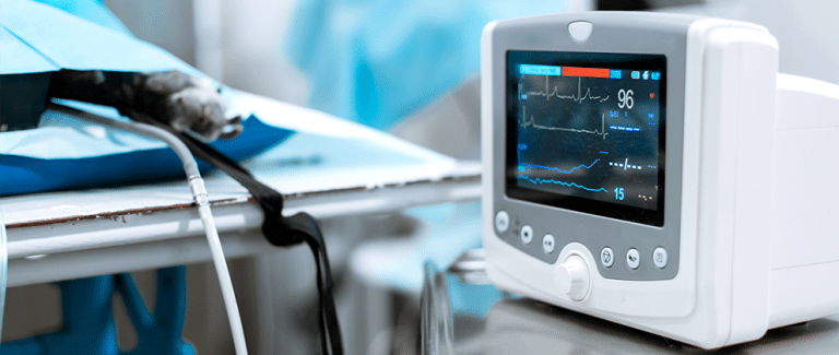 RECOVER Initiative Releases Updated Veterinary CPR Guidelines