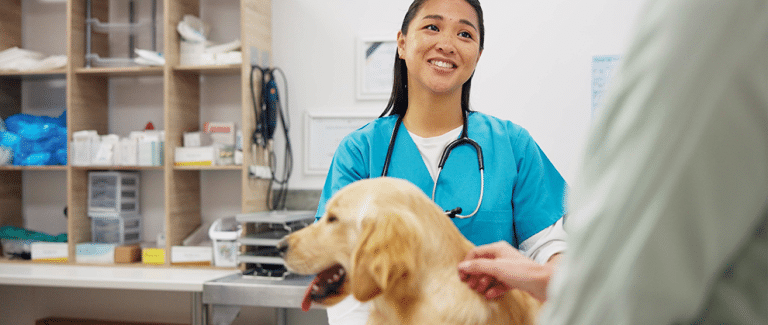 How to Find Success as a Locum Veterinary Nurse/Technician