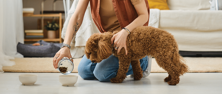 5 Common Elimination Diet Trial Mistakes