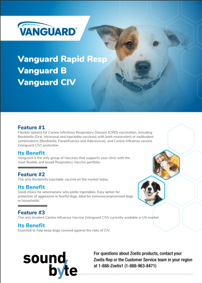Vanguard CIRD