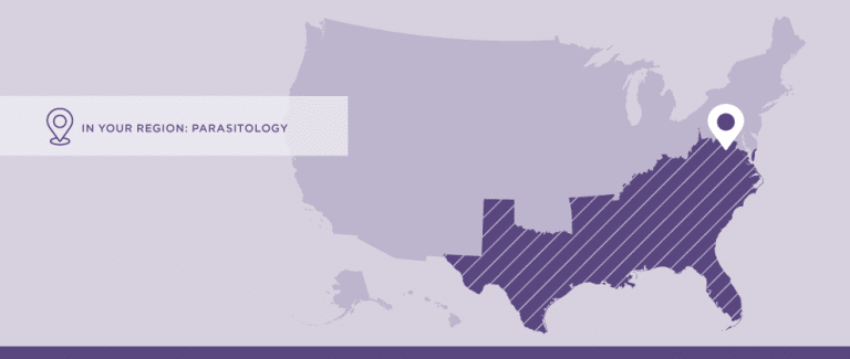 Top Parasitology Concerns in the Southeastern United States and Texas