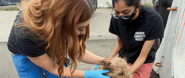 The City of Angels: Lahari Kankar, RVT, Builds Community Through Veterinary Care in Los Angeles