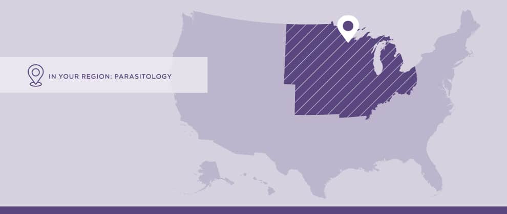 Top Parasitology Concerns in the Midwestern United States - Featured Image