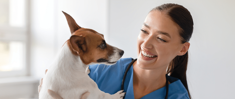 Advocating for Veterinary Patients