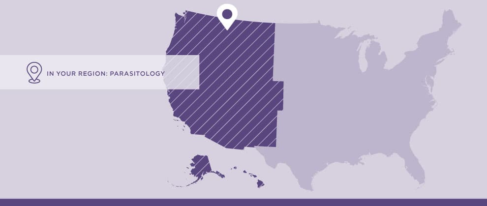 Top 5 Regional Parasites for the Western United States: A Quick Guide for Pet Owners - Featured Image