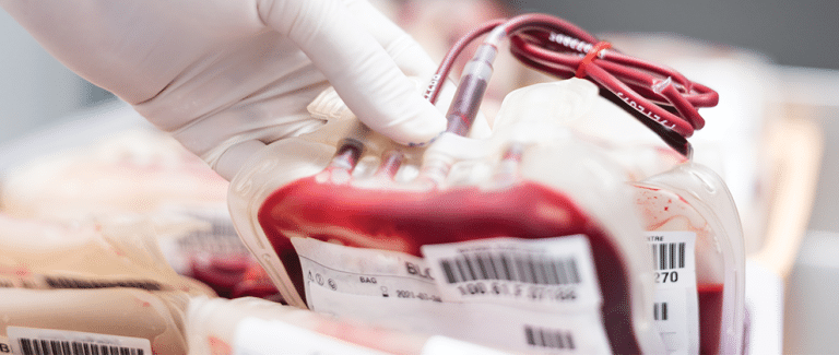 Considerations for Creating a Small Animal Blood Bank