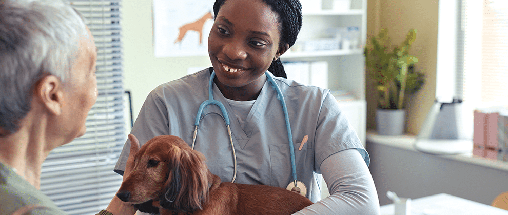 Discussing Life-Stage Nutrition for Dogs and Cats With Clients - Featured Image