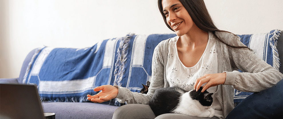 Triaging Feline House Soiling Using Telemedicine - Featured Image