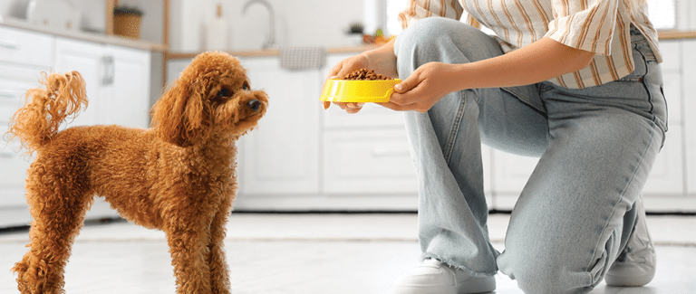 Communicating With Clients About Nutritional Management of Canine Uroliths