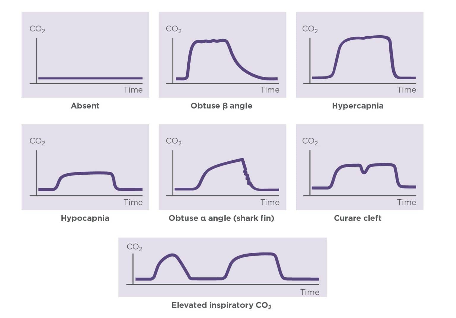 A Guide to Capnography in Small Animal Anesthesia | Today's Veterinary ...