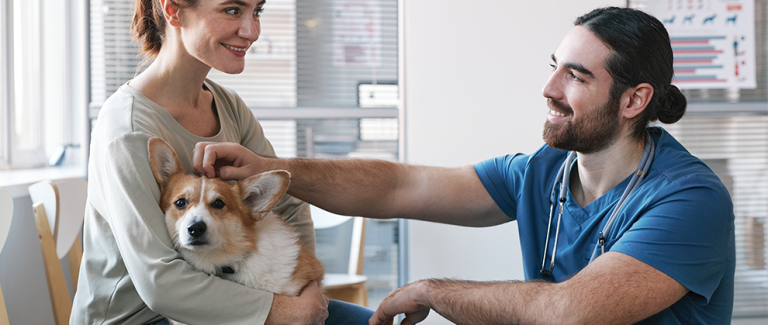 Spectrum of Care in Veterinary Medicine and the Role of the Veterinary Nurse