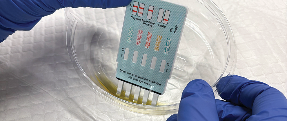Using Over-the-Counter Drug Tests for Veterinary Patients - Featured Image