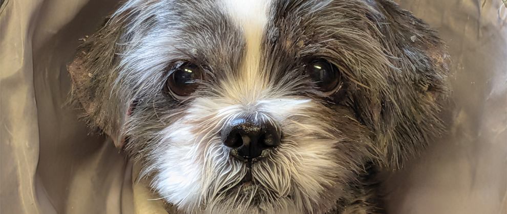 Specialty Dermatology Care Brings Life-Changing Relief - Featured Image