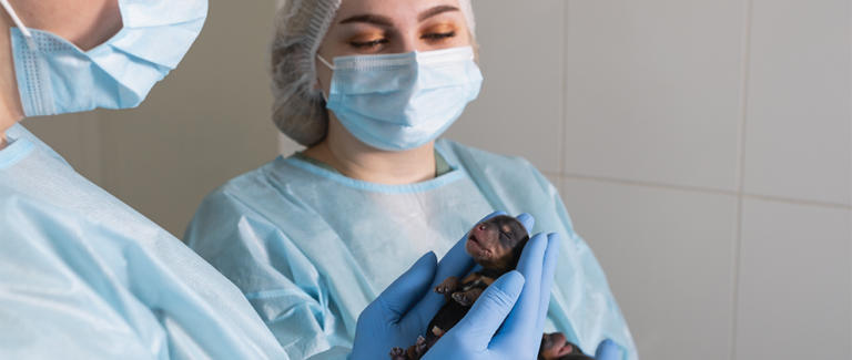 Small Patients, Specific Protocols: Implementing the RECOVER Newborn Resuscitation Guidelines