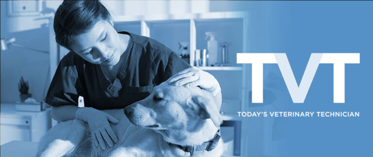 New Name, Same Mission: Welcome to Today’s Veterinary Technician